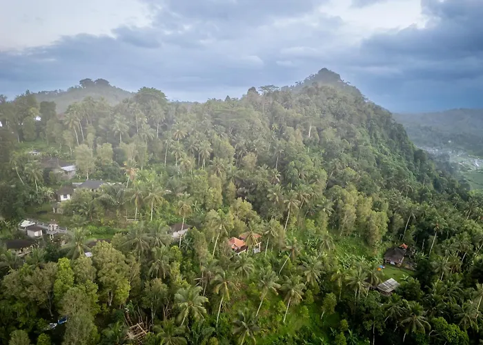 Cemara Green Hill By Samhita Bali